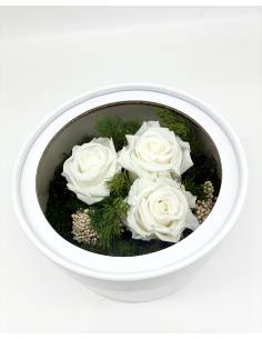 Boîte cadeau roses éternelles Blanches