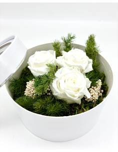Boîte cadeau roses éternelles Blanches 2