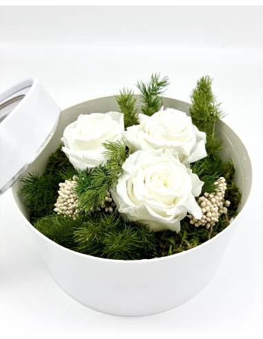 Boîte cadeau roses éternelles Blanches, vue 2