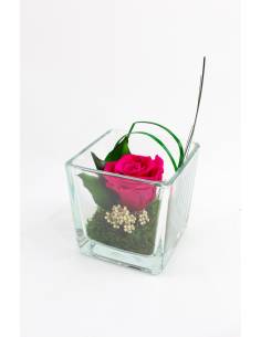 Cube déco GM rose éternelle Fuchsia