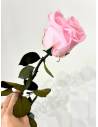 Rose éternelle stabilisée Rose - Gift box, vue 5