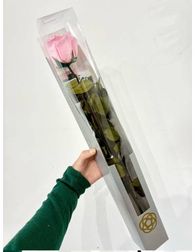 Rose éternelle stabilisée Rose - Gift box, vue 6