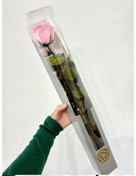 Rose éternelle stabilisée Rose - Gift box, vue 6