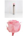 Rose éternelle stabilisée Rose - Gift box, vue 3