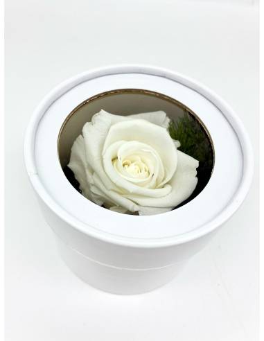 Boîte ronde rose éternelle Blanche, vue 1
