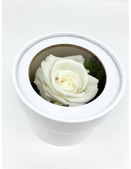Boîte ronde rose éternelle Blanche, vue 1