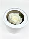 Boîte ronde rose éternelle Blanche, vue 1
