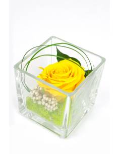 Cube déco rose éternelle Jaune lichen