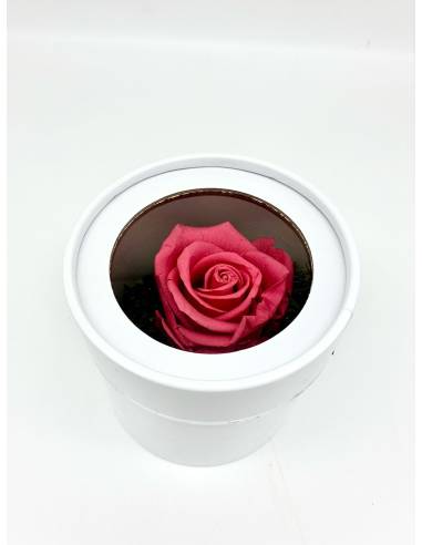 Boîte ronde rose éternelle Rose Fuchsia, vue 1