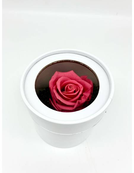 Boîte ronde rose éternelle Rose Fuchsia, vue 1
