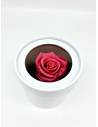 Boîte ronde rose éternelle Rose Fuchsia, vue 1