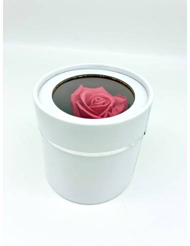 Boîte ronde rose éternelle Rose Fuchsia