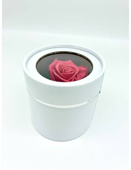 Boîte ronde rose éternelle Rose Fuchsia