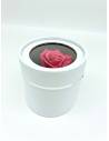 Boîte ronde rose éternelle Rose Fuchsia
