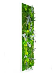 Tableau végétal stabilisé slim XL Spring Forest