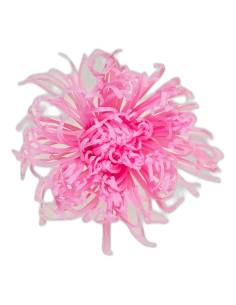 Tête de chrysanthème Anastasia stabilisé rose pâle, vue de face, pétales fins et allongés