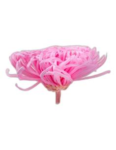 Tête de chrysanthème Anastasia stabilisé rose pâle, vue de face, pétales fins et allongés 2