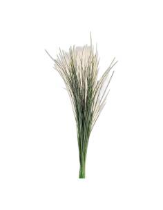Botte de xérophyllum stabilisé (bear grass), longues feuilles fines et vertes
