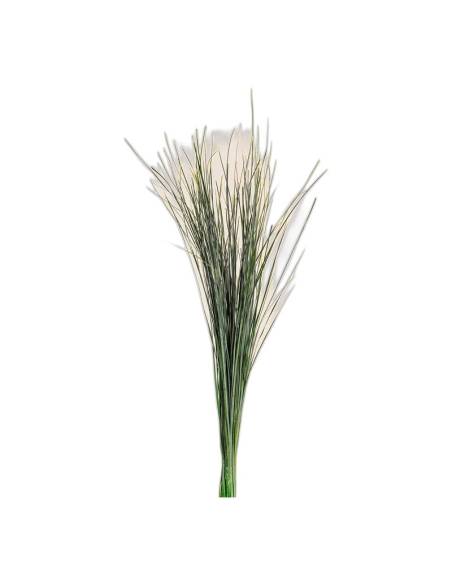 Botte de xérophyllum stabilisé (bear grass), longues feuilles fines et vertes