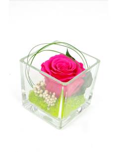 Cube décor rose éternelle Rose lichen
