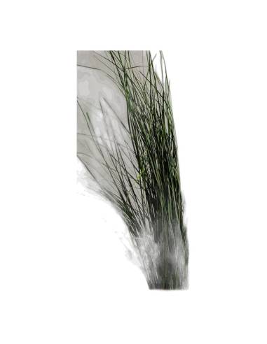 Gerbe de xérophyllum stabilisé retombant d'un vase en bois, vue rapprochée