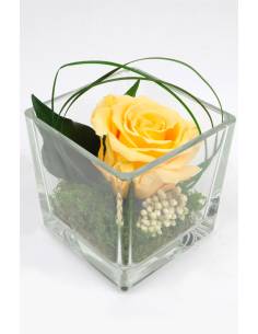 Cube déco rose éternelle Pêche nature