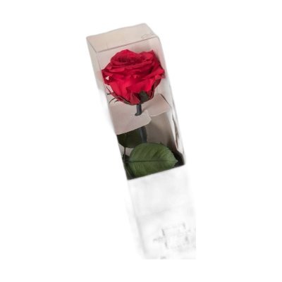 Idée cadeau