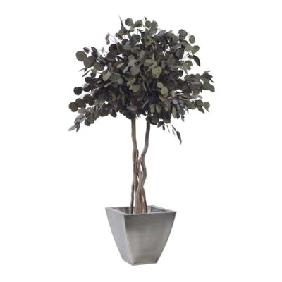 Arbre stabilisé